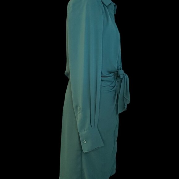 Deep vneck shirt dress (NWT) - Picture 9 of 11